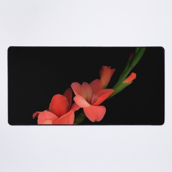 Item preview, Scarlet designed and sold by MazGhani.