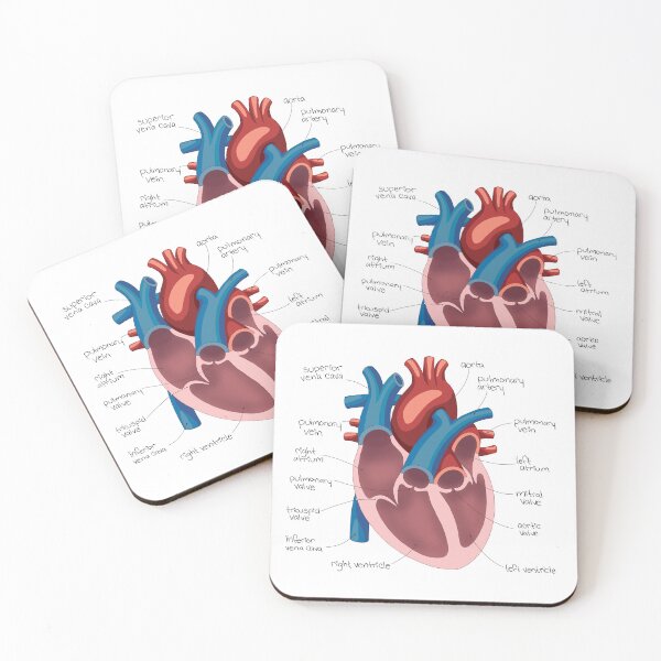 Item preview, Heart Diagram Drawing designed and sold by neatchicdesigns.