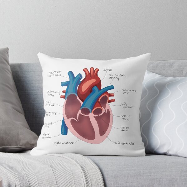 Item preview, Heart Diagram Drawing designed and sold by neatchicdesigns.