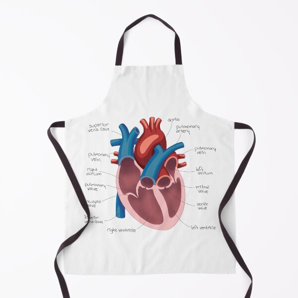 Item preview, Heart Diagram Drawing designed and sold by neatchicdesigns.