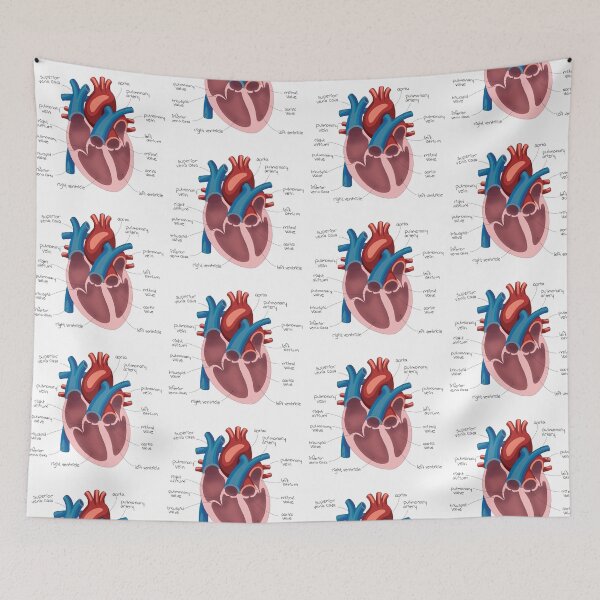Item preview, Heart Diagram Drawing designed and sold by neatchicdesigns.