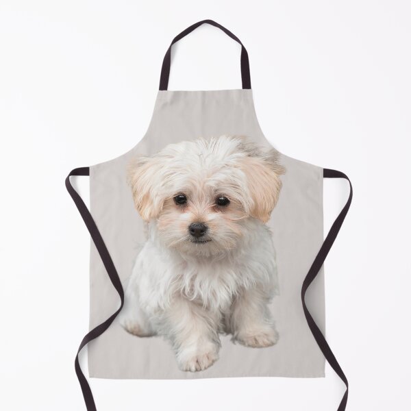 Item preview, Adorable Maltese Pup designed and sold by RainbowSpinkle.