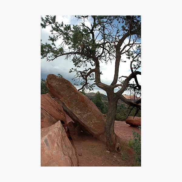 Item preview, Life In The Garden Of The Gods designed and sold by Holly Werner.