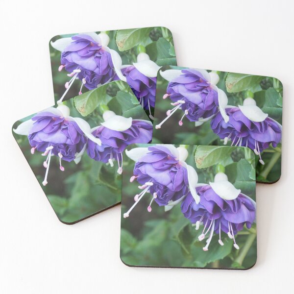 Item preview, Double blue and white fuchsia designed and sold by Bev Pascoe.