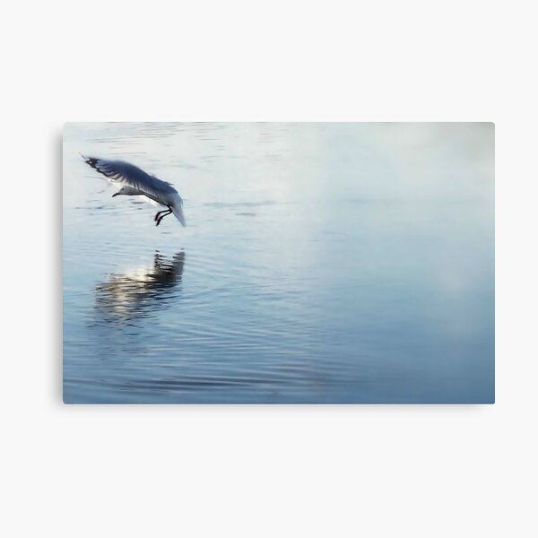 Soulmate Canvas Print