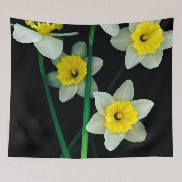 Item preview, Dayana designed and sold by MazGhani.