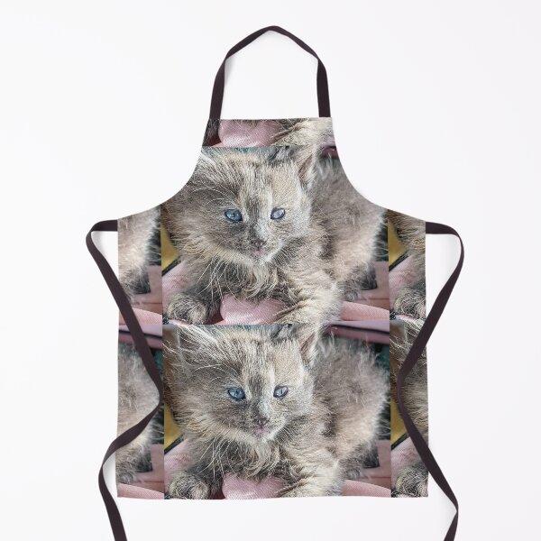 Item preview, Blue grey ragdoll Mainecoon kitten designed and sold by Fluffycat2020.