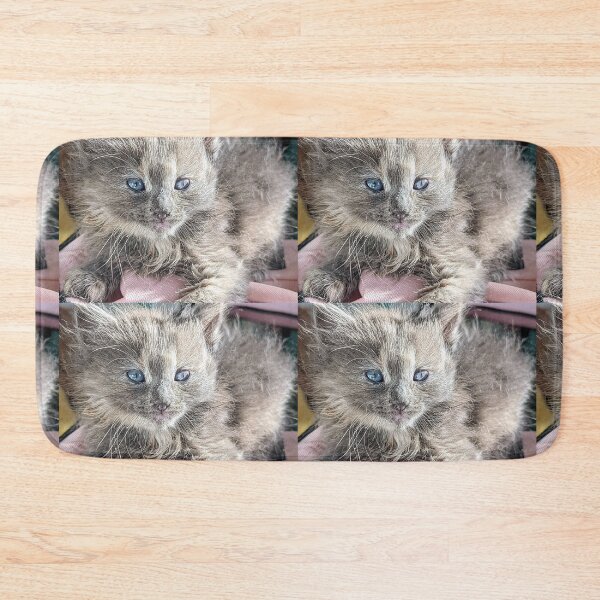 Item preview, Blue grey ragdoll Mainecoon kitten designed and sold by Fluffycat2020.
