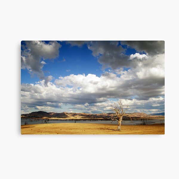 Too little, too late! Canvas Print