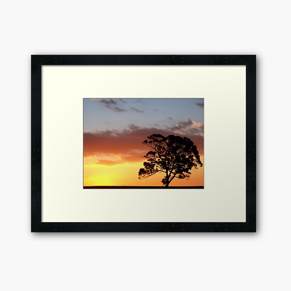 Beginnings Framed Art Print