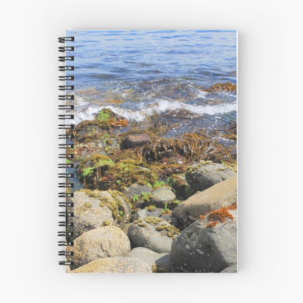Item preview, Rocky Foreshore  designed and sold by Mark Whittle.