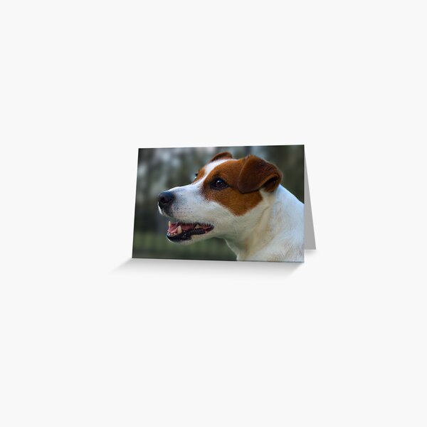 Toby Greeting Card