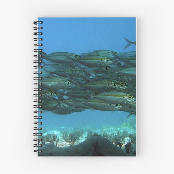 Item preview, Yellow Stripe Mackerel designed and sold by Jessica Fittock.