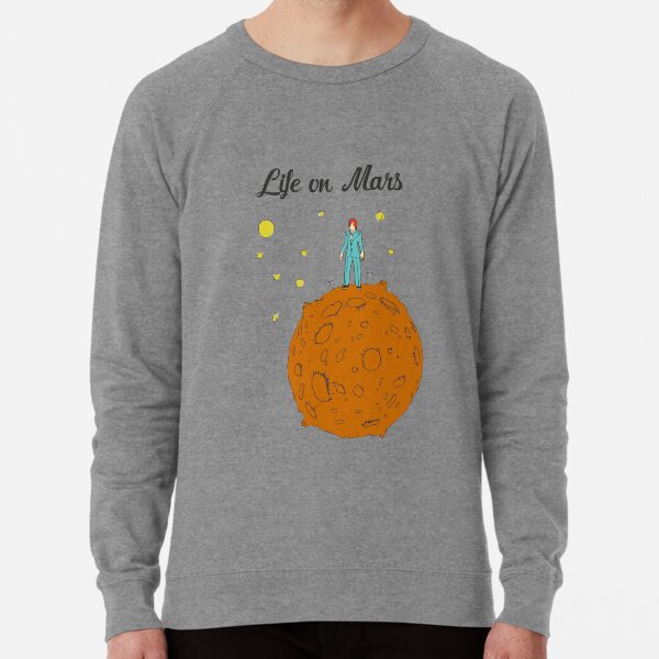 Leben auf dem Mars Leichter Pullover