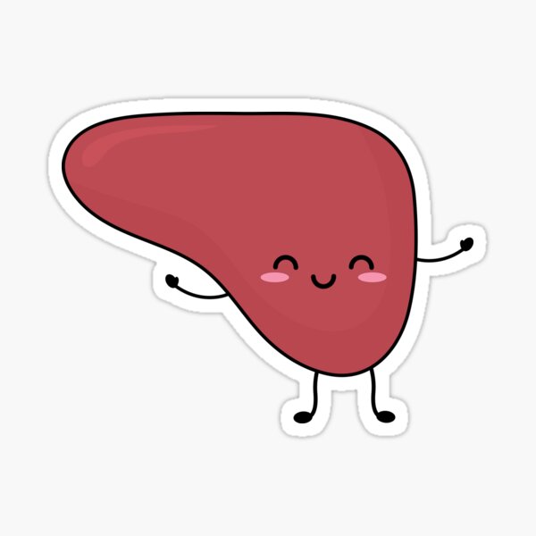 Kawaii Medical Organs - Cute Liver Kawaii Medical Organs - Cute Liver