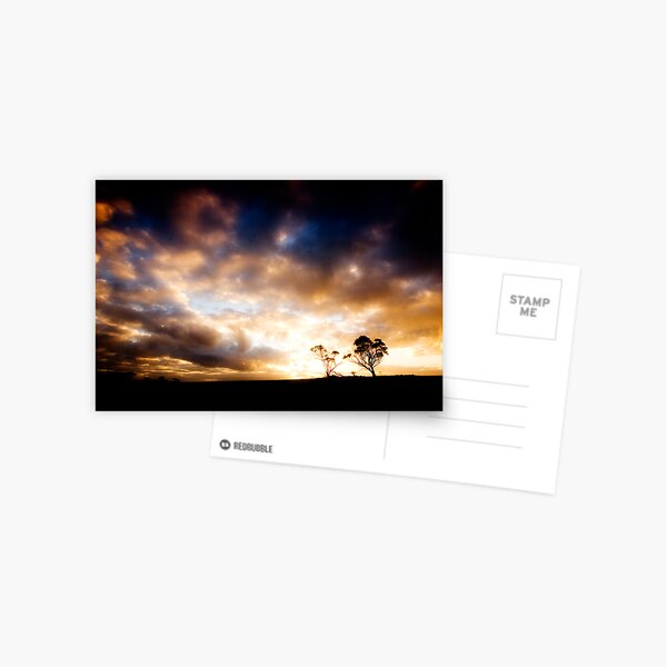 Wheatbelt Postcard