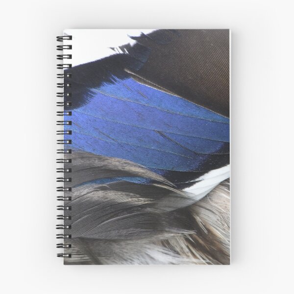 Item preview, Feathers hold blue fire designed and sold by Jacqueline Durban.