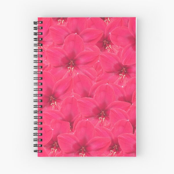 Artikelvorschau, Posy von rosa Hippeastrum-Blumen entworfen und verkauft von CreateShape.