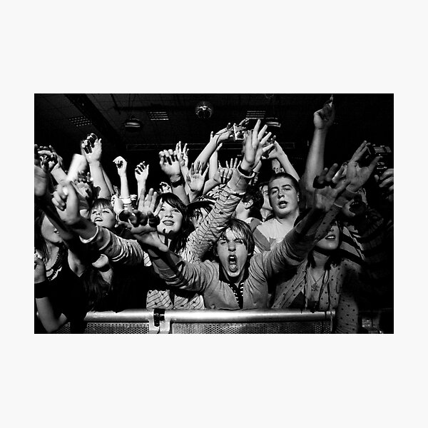 A Lively Bunch Photographic Print