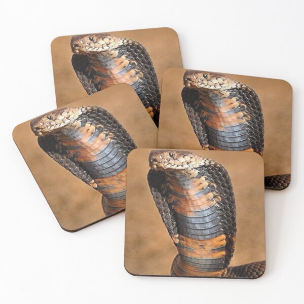 Item preview, Mozambique Spitting Cobra designed and sold by Maddie4Real.