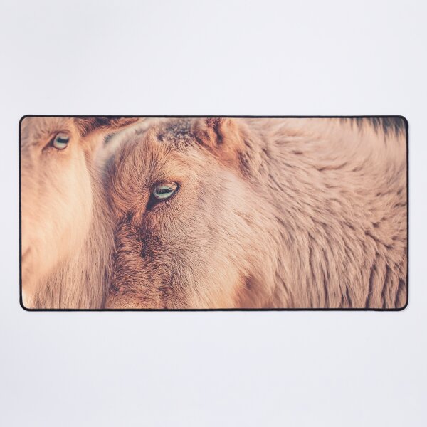 Item preview, Best Friends Goats Cuddling Print designed and sold by Nils Petter Stein.
