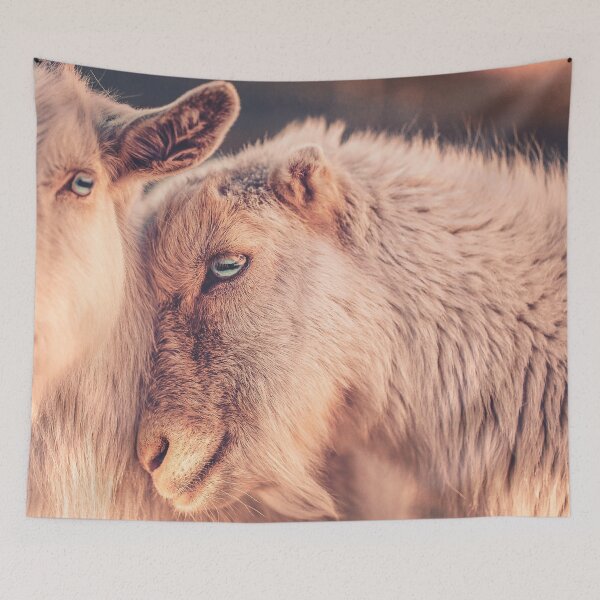 Item preview, Best Friends Goats Cuddling Print designed and sold by Nils Petter Stein.