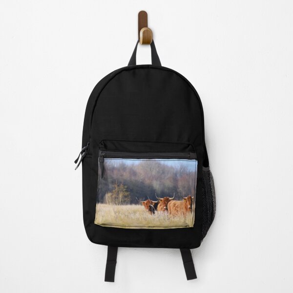 Item preview, Highland cattle in the sun designed and sold by AnneVisscher.