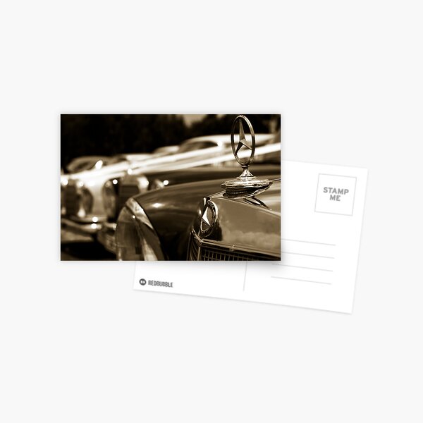 Classic Lines Postcard