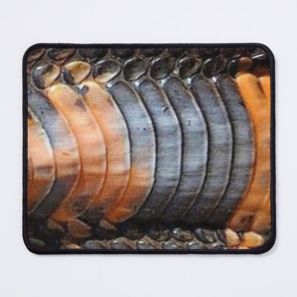 Item preview, Mozambique Spitting Cobra designed and sold by Maddie4Real.