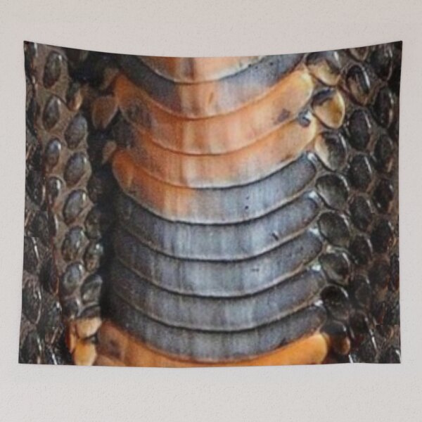 Item preview, Mozambique Spitting Cobra designed and sold by Maddie4Real.