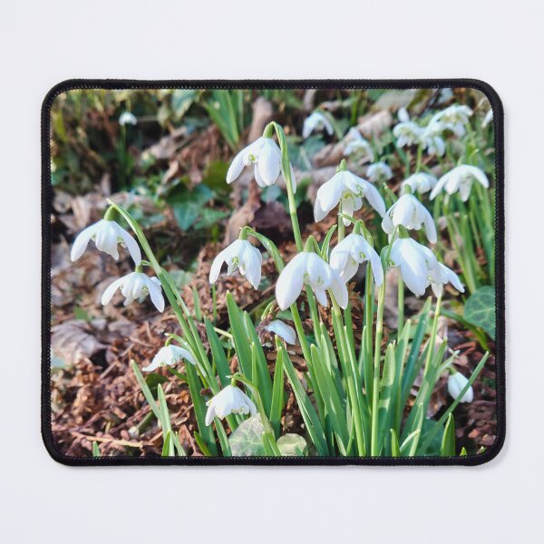 Item preview, Spring snowdrops designed and sold by LittleBettyMakes.