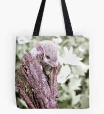 High and Dry Tote Bag