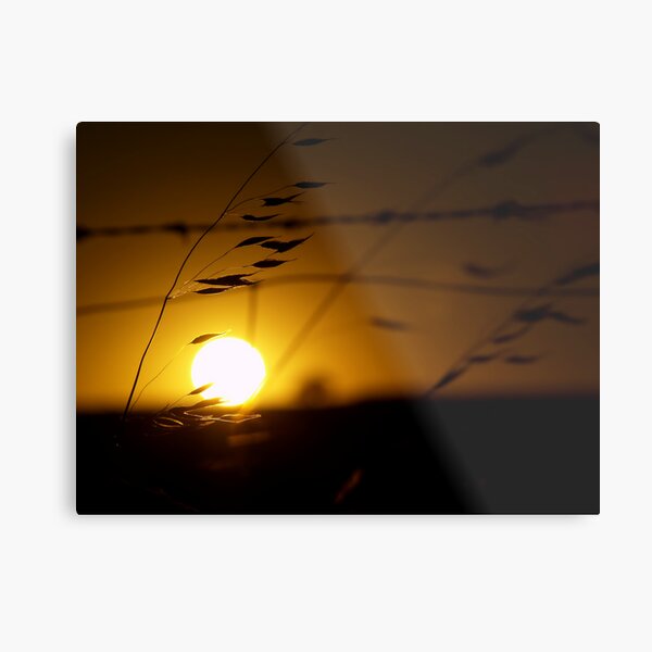 Holding On Metal Print