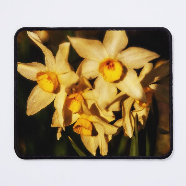 Item preview, Daffodil flowers designed and sold by DeborahMcGrath.
