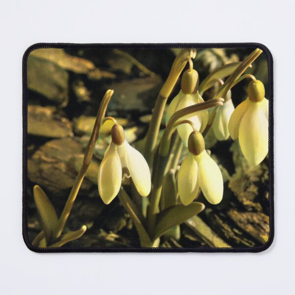 Item preview, Flowers Frozen In Time  designed and sold by mindmaster007.