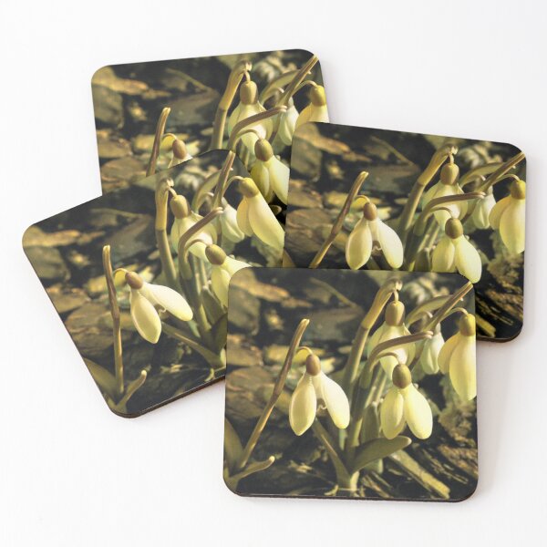 Item preview, Flowers Frozen In Time  designed and sold by mindmaster007.