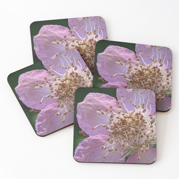 Item preview, Blossom designed and sold by Quirkyalonester.