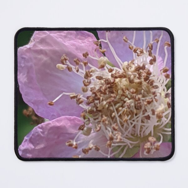Item preview, Blossom designed and sold by Quirkyalonester.