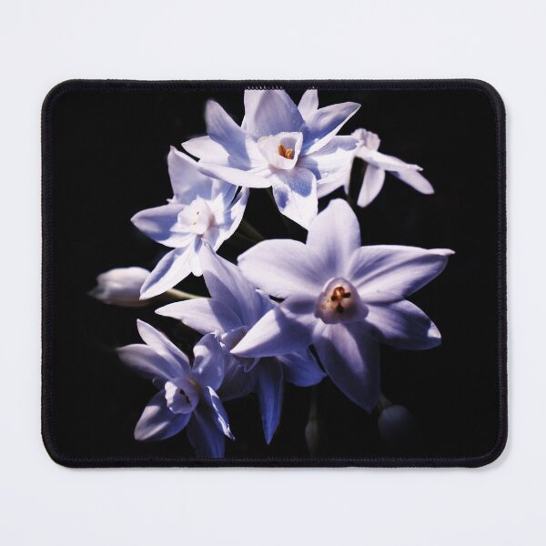 Item preview, White Jonquils designed and sold by DeborahMcGrath.