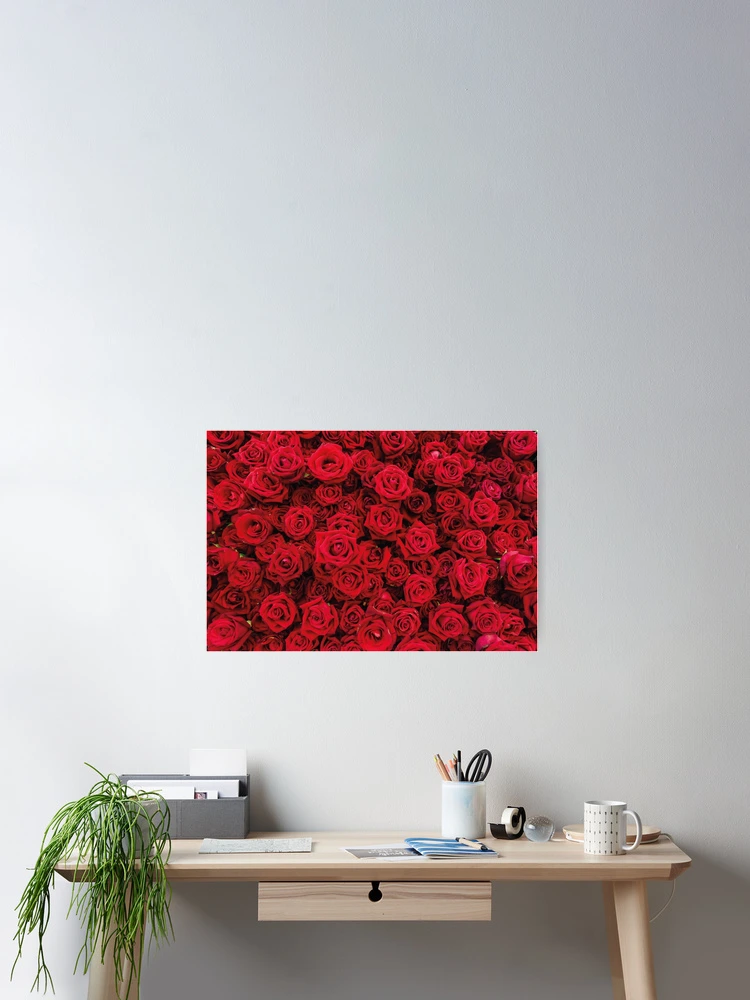 Thumbnail 2 of 3, Poster, Red Roses designed and sold by Jools-57.
