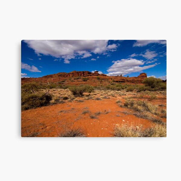 Palm Valley Skyline Canvas Print