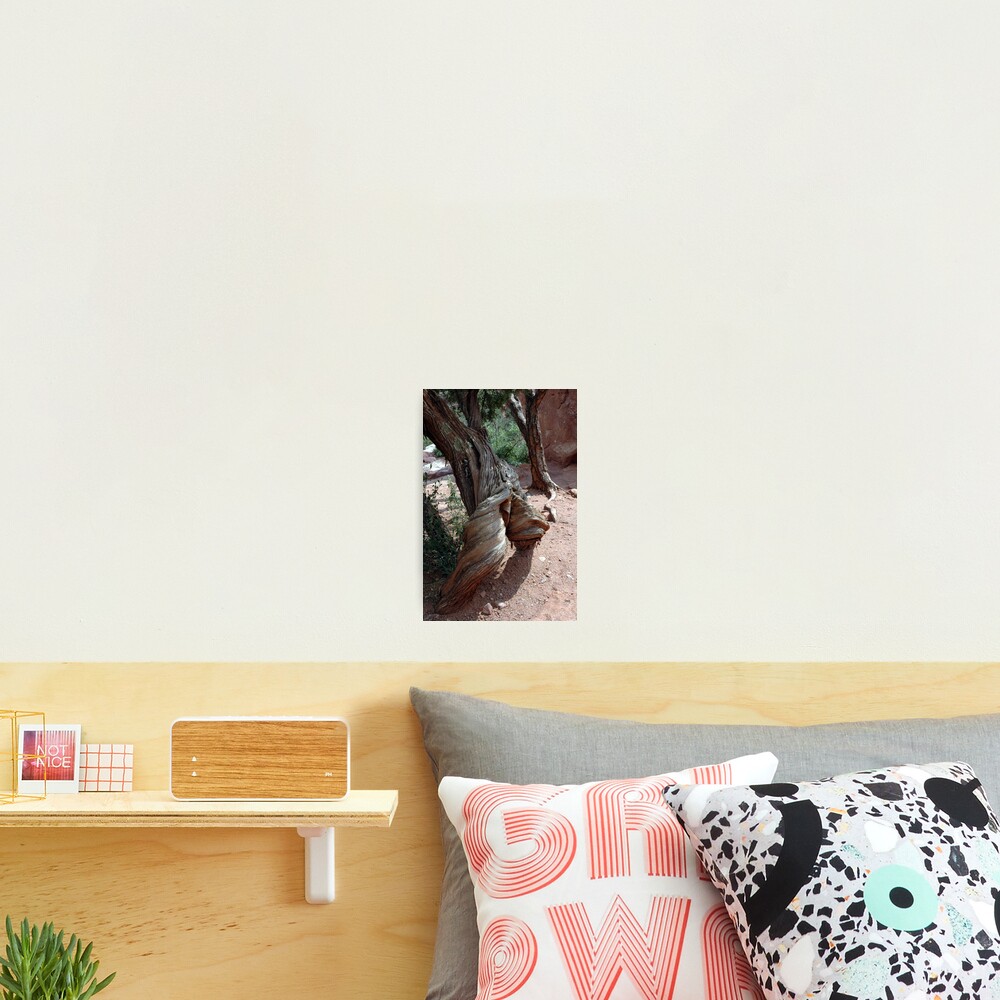 Item preview, Photographic Print designed and sold by ritesideup.