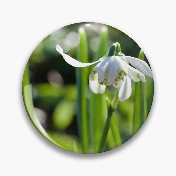 Item preview, Special Snowdrop  designed and sold by caj26.