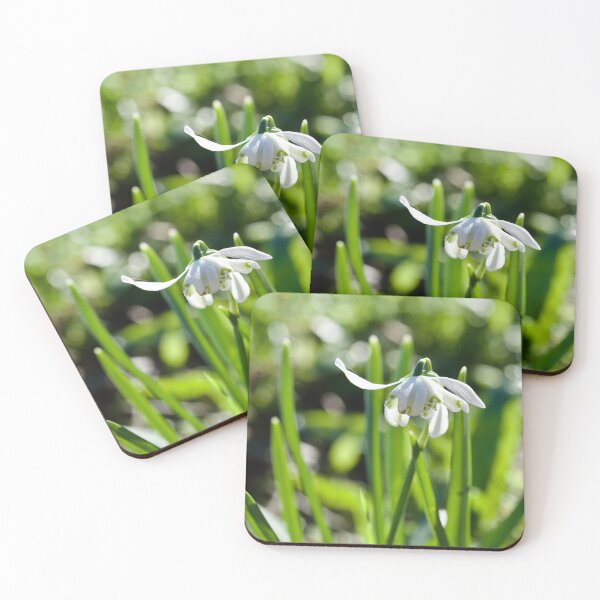Item preview, Special Snowdrop  designed and sold by caj26.