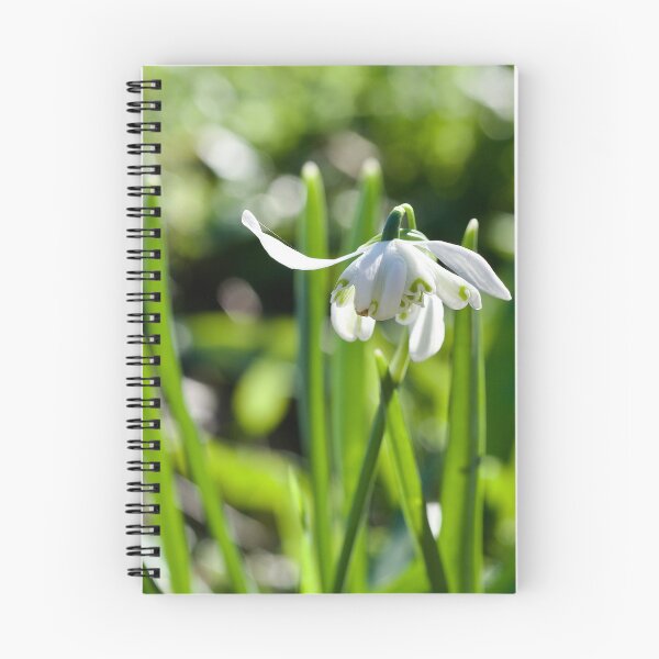 Item preview, Special Snowdrop  designed and sold by caj26.