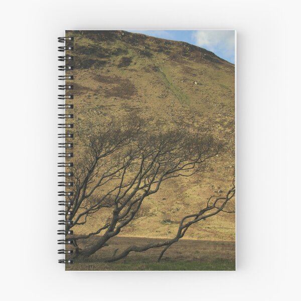 Item preview, A tree against a mountain backdrop, Isle of Arran, Scotland, early spring designed and sold by icomeinpeace2.
