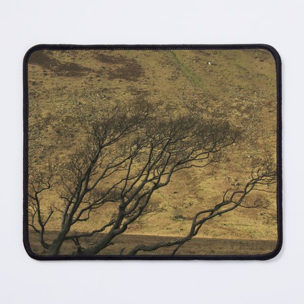 Item preview, A tree against a mountain backdrop, Isle of Arran, Scotland, early spring designed and sold by icomeinpeace2.
