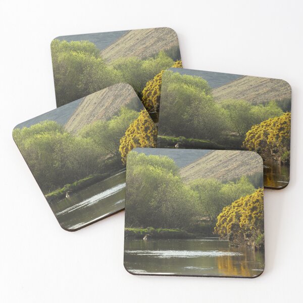 Item preview, A stream, gorse and a tree on a spring day, Isle of Arran, Scotland designed and sold by icomeinpeace2.