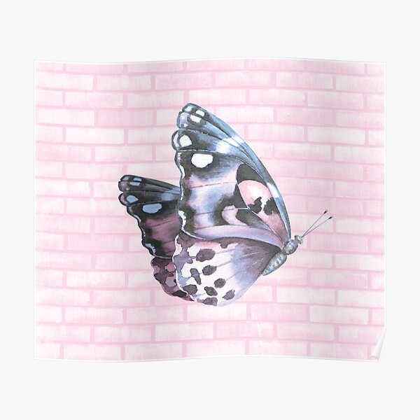 Butterflies and Bricks Poster