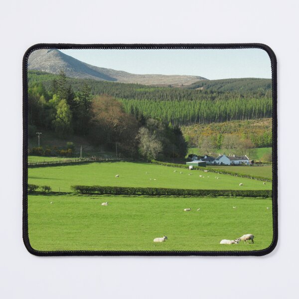 Item preview, A white cottage with sheep grazing, Isle of Arran, Scotland designed and sold by icomeinpeace2.